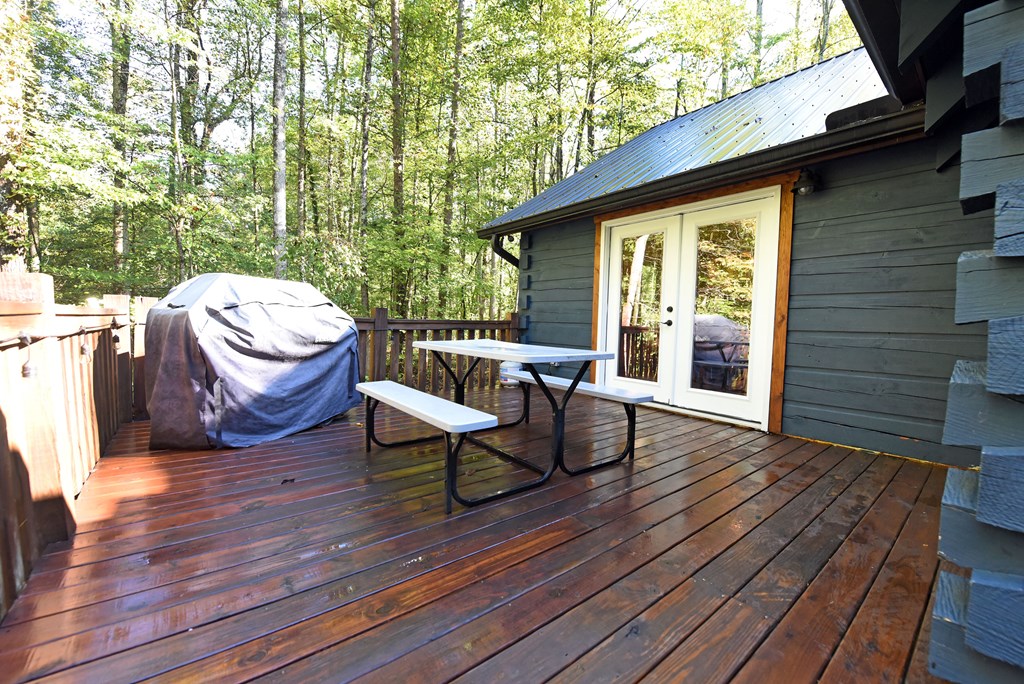 373 Scrougetown Road Ellijay, GA 30536 - Photo 28 of 76