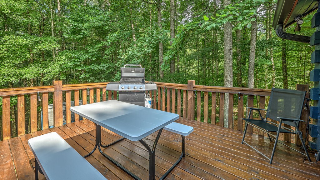 373 Scrougetown Road Ellijay, GA 30536 - Photo 29 of 76