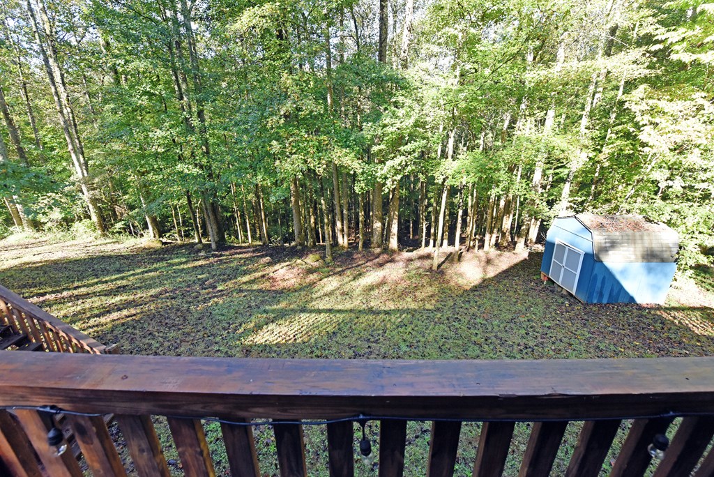 373 Scrougetown Road Ellijay, GA 30536 - Photo 30 of 76