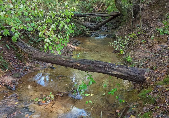 $665,000 | 373 Scrougetown Road, Ellijay, GA 30536