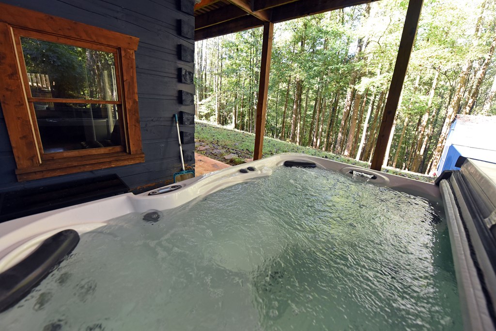 373 Scrougetown Road Ellijay, GA 30536 - Photo 52 of 76