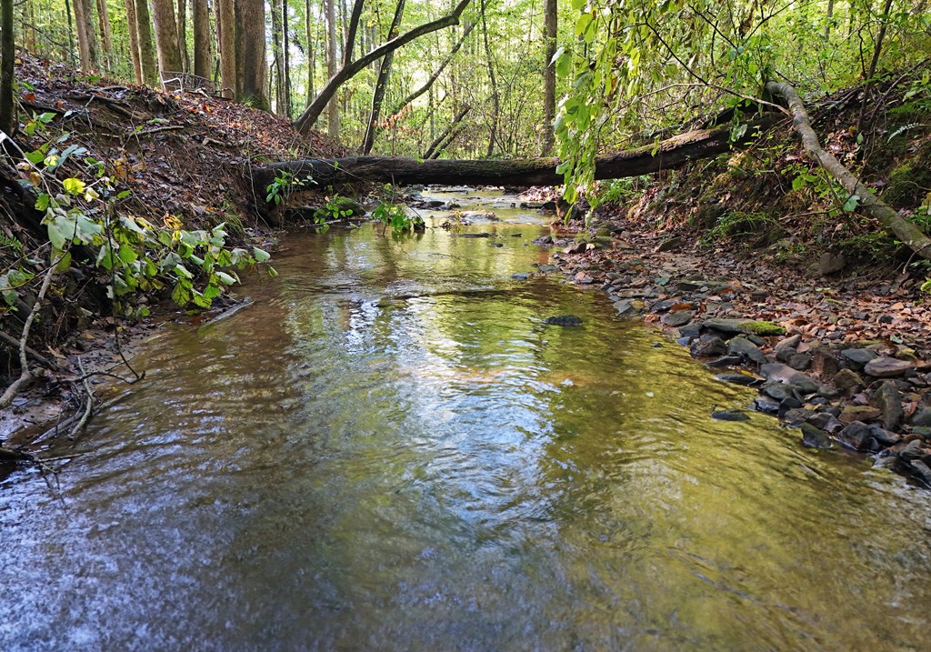 373 Scrougetown Road Ellijay, GA 30536 - Photo 53 of 76