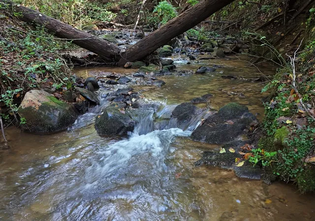 $665,000 | 373 Scrougetown Road, Ellijay, GA 30536