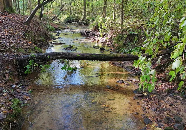 $665,000 | 373 Scrougetown Road, Ellijay, GA 30536