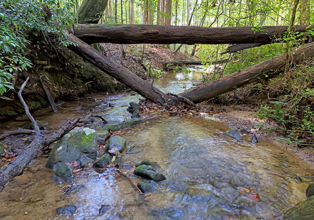373 Scrougetown Road Ellijay, GA 30536 - Photo 69 of 76