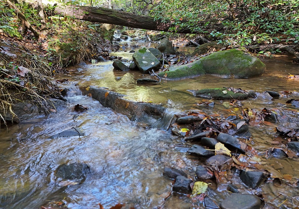373 Scrougetown Road Ellijay, GA 30536 - Photo 70 of 76