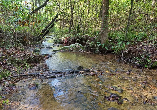 $665,000 | 373 Scrougetown Road, Ellijay, GA 30536