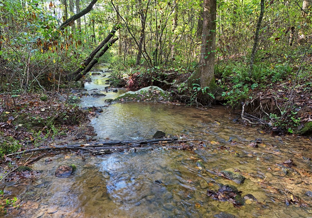 373 Scrougetown Road Ellijay, GA 30536 - Photo 7 of 76