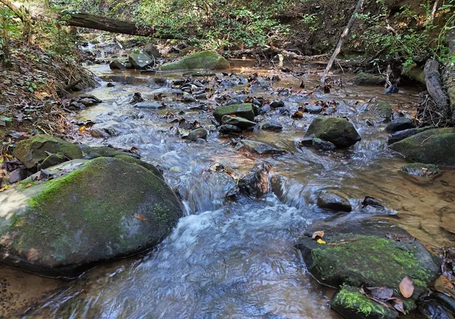 $665,000 | 373 Scrougetown Road, Ellijay, GA 30536