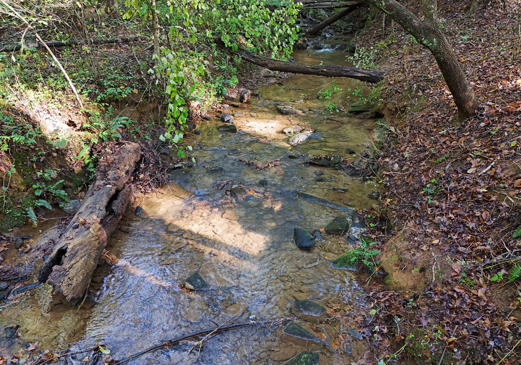 373 Scrougetown Road Ellijay, GA 30536 - Photo 72 of 76