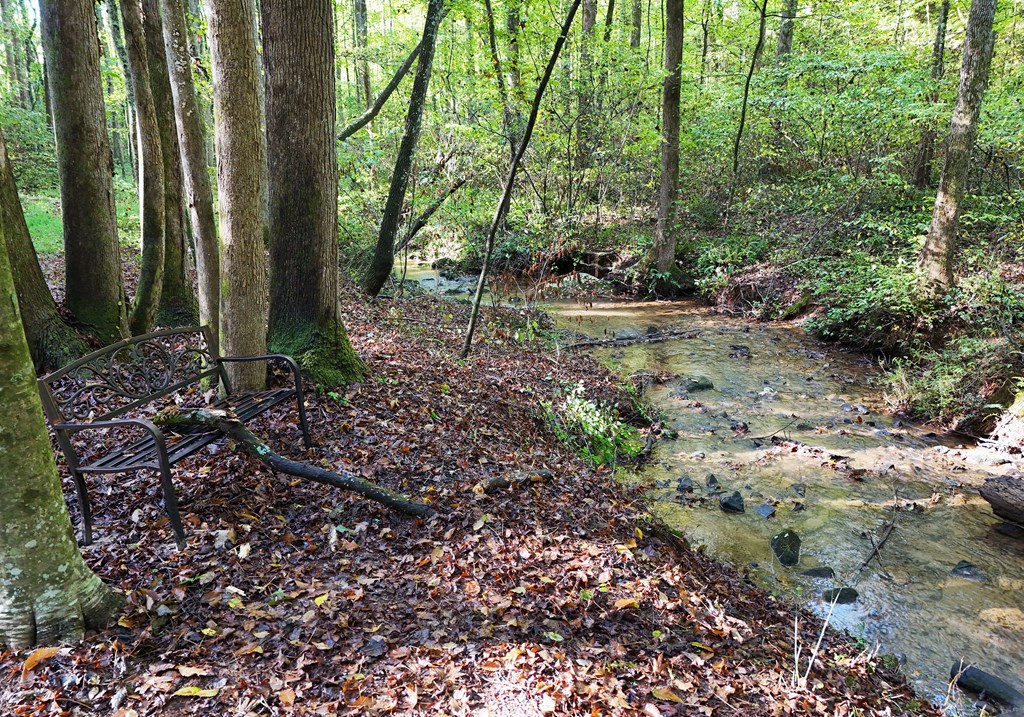 373 Scrougetown Road Ellijay, GA 30536 - Photo 73 of 76