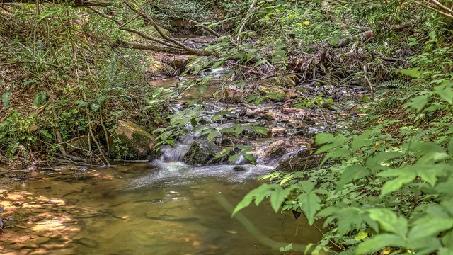 $665,000 | 373 Scrougetown Road, Ellijay, GA 30536