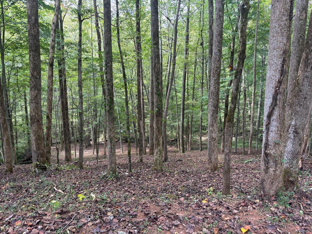 373 Scrougetown Road Ellijay, GA 30536 - Photo 75 of 76