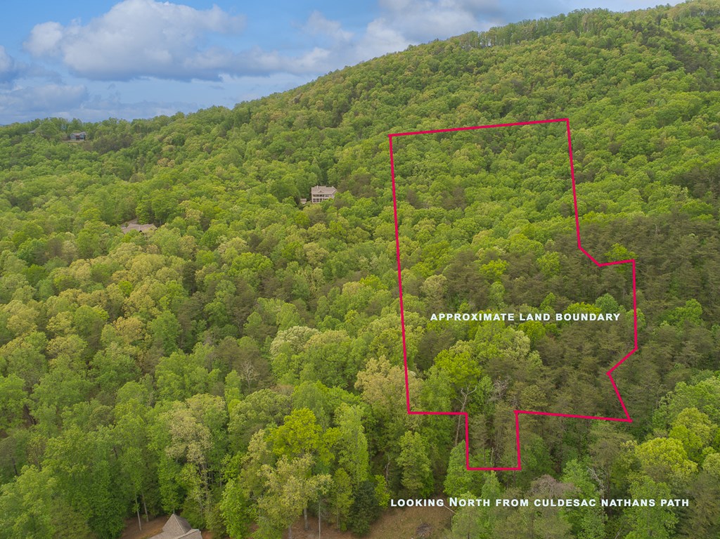 0 Town Mountain Road Hayesville, NC 28904 - Photo 7 of 8