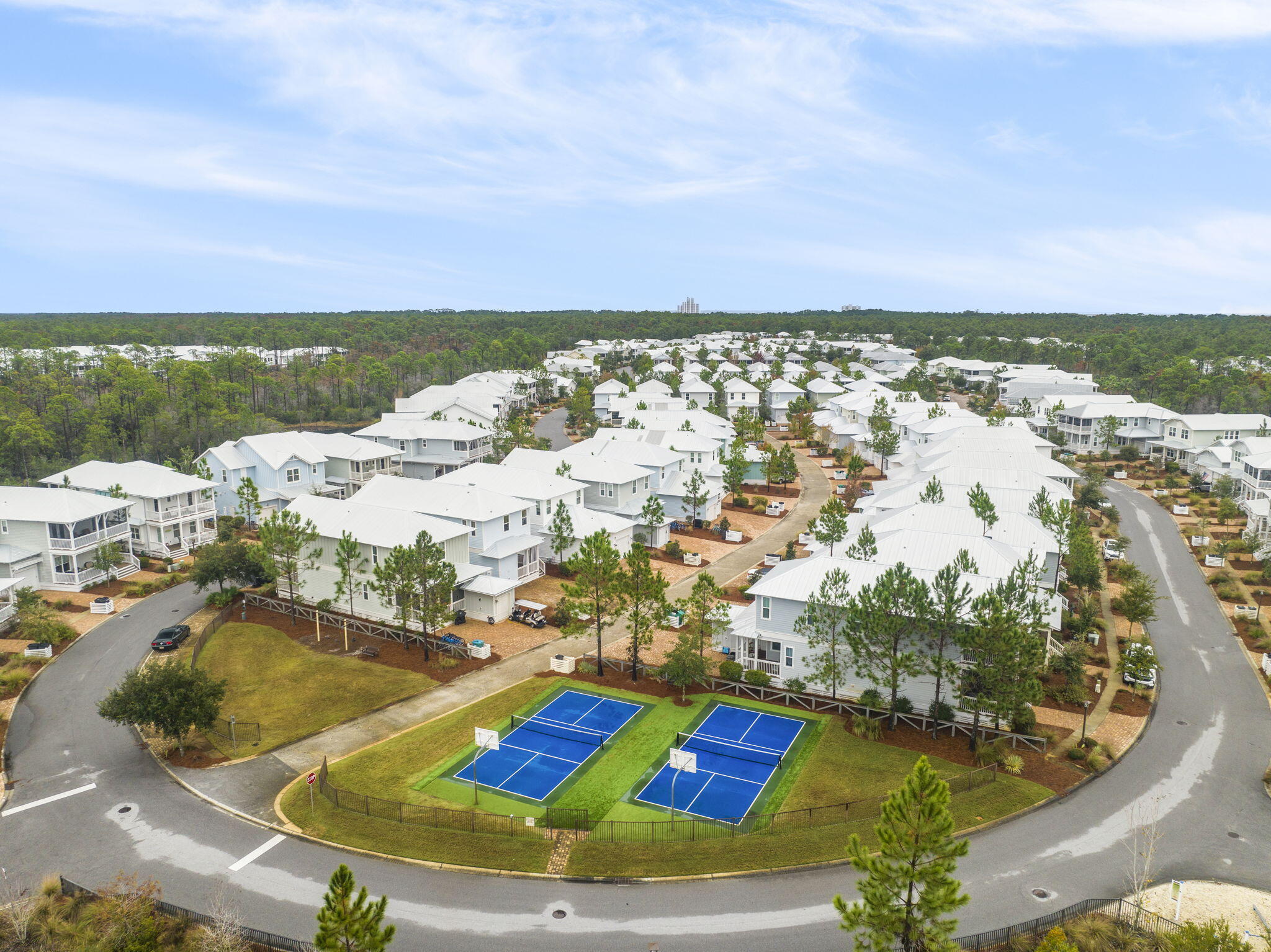 426 Flatwoods Forest Loop Santa Rosa Beach, FL 32459 - Photo 42 of 59 an aerial view of residential houses with outdoor space
