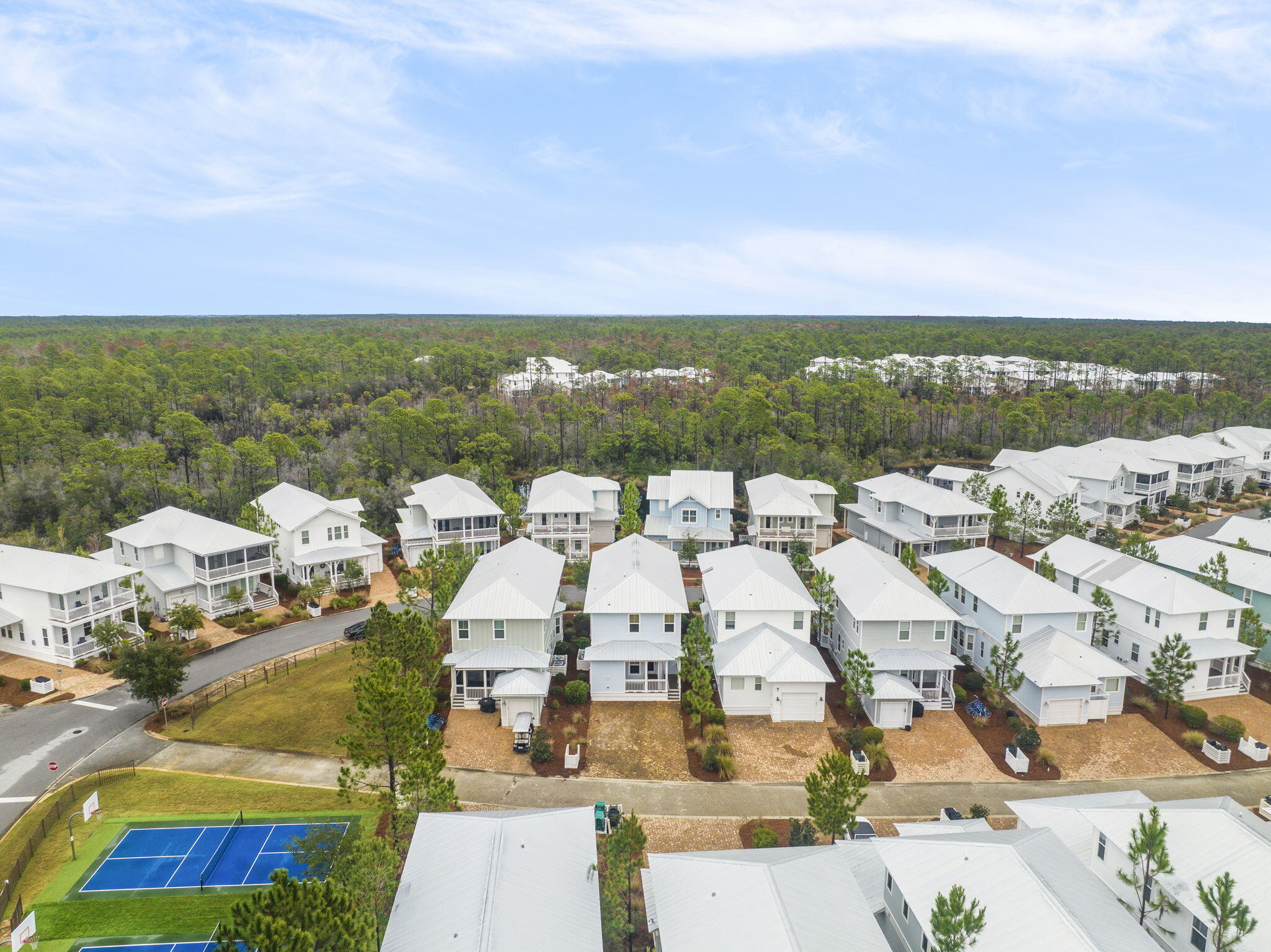 426 Flatwoods Forest Loop Santa Rosa Beach, FL 32459 - Photo 44 of 59 44-web-or-mls-426-flatwoods-forest-loop
