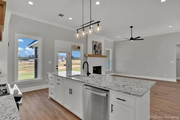 a kitchen with stainless steel appliances granite countertop a sink dishwasher a oven and a fireplace with wooden floor