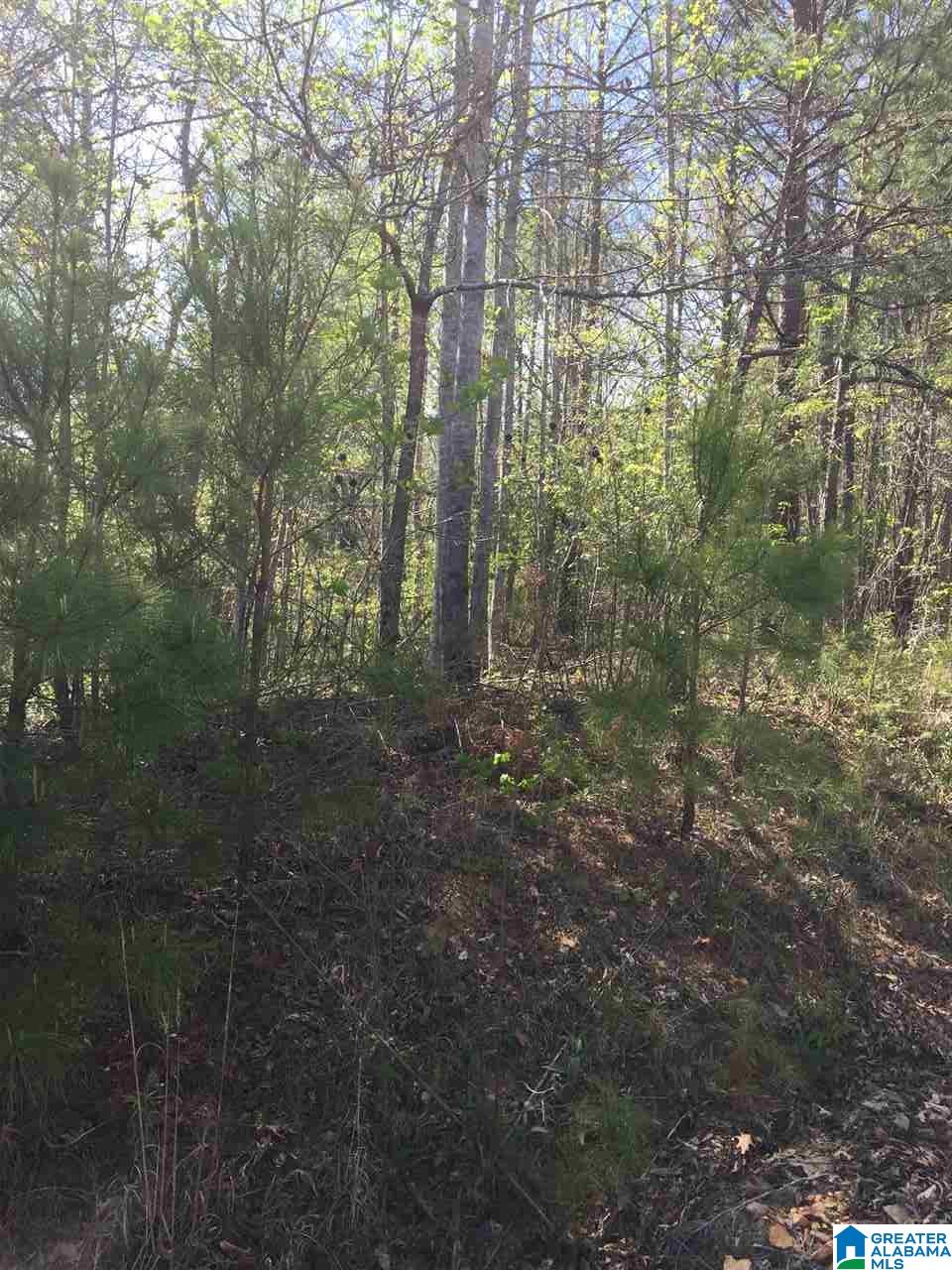 1331 Cedar Creek Road, Unit 4 ACRES Odenville, AL 35120 - Photo 3 of 20