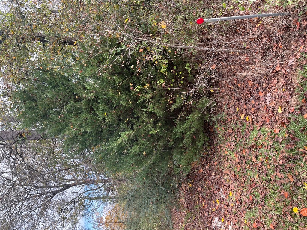700 Keowee Trail Seneca, SC 29672 - Photo 2 of 2