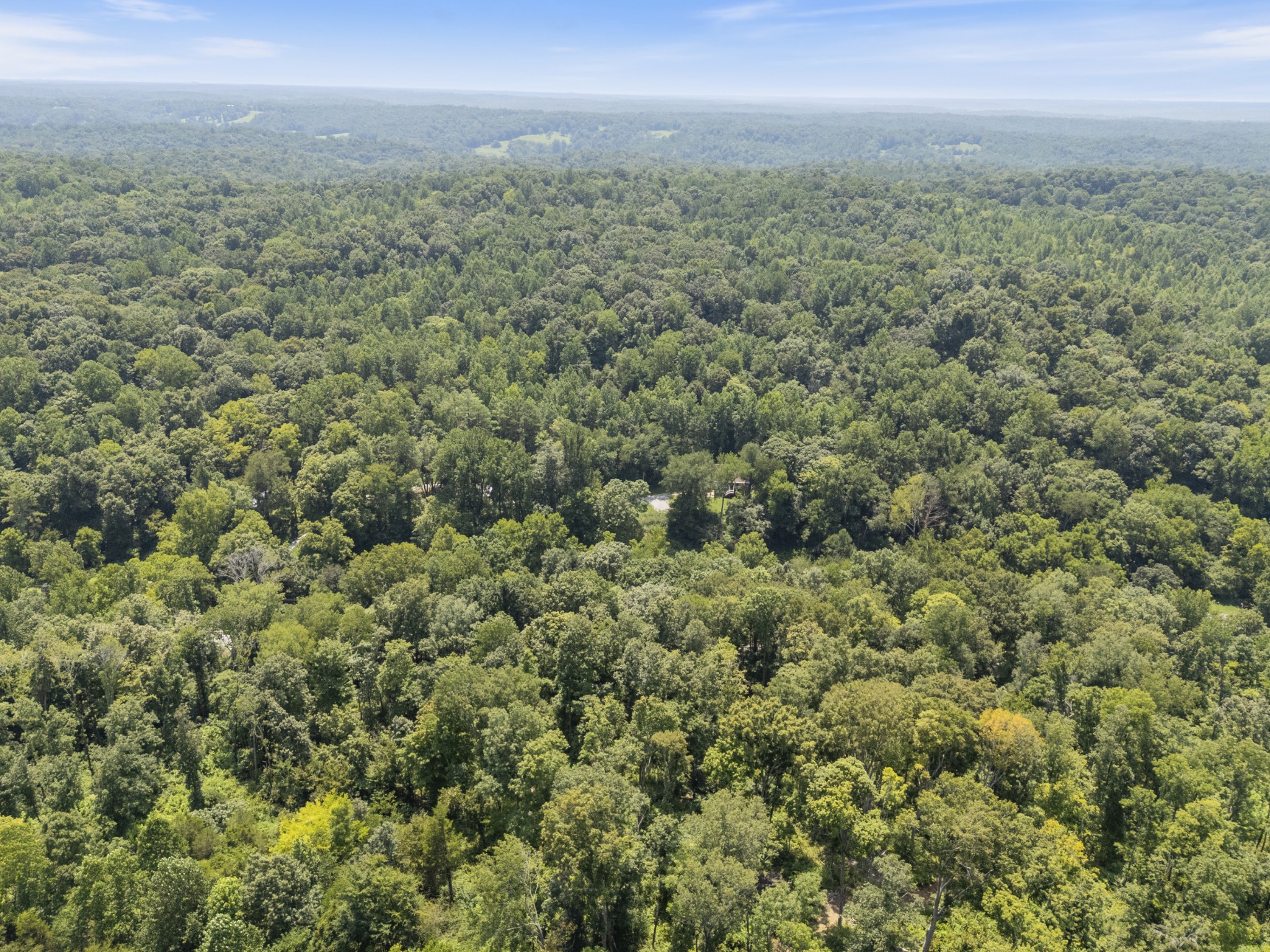0 Slayden Wood Road Vanleer, TN 37181 - Photo 25 of 25 Gallery Image 25