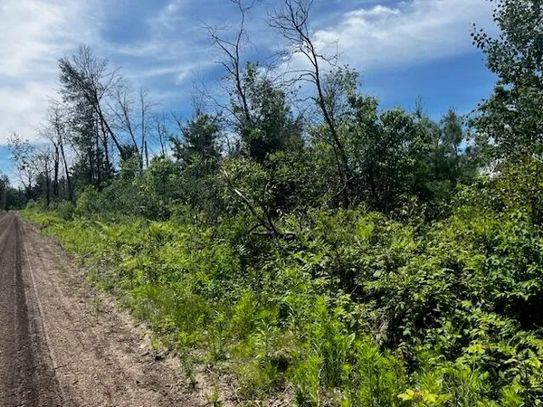 $34,900 | 2 South Nelson Road, Idlewild, MI 49642