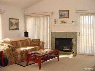 16743 Country Ridge Lane, Unit 95 Macomb, MI 48044 - Photo 7 of 14 Ceramic Gas Fireplace