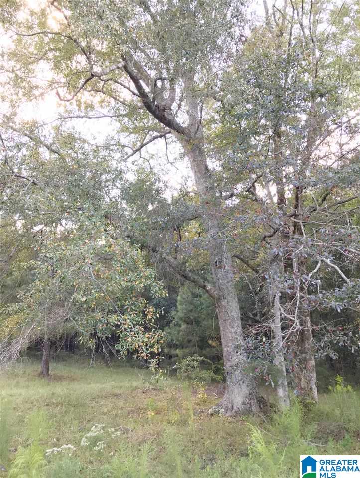 1525 Chelsea Road, Unit 1525 Columbiana, AL 35051 - Photo 13 of 33