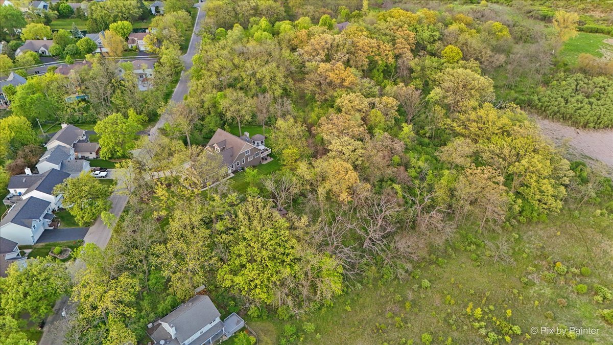 806 Wauconda Road Wauconda, IL 60084 - Photo 3 of 12 Gallery Image 3