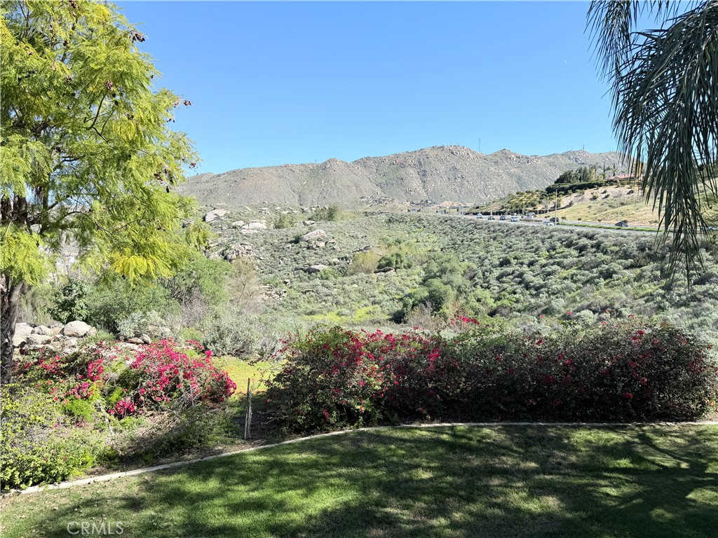 375 Central Avenue, Unit 14 Riverside, CA 92507 - Photo 22 of 32 a view of a field with a tree