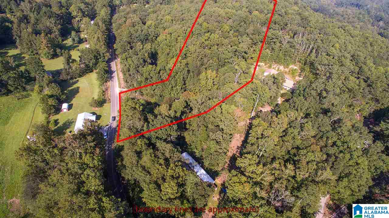 7132 Goodner Mountain Road Pinson, AL 35126 - Photo 6 of 14