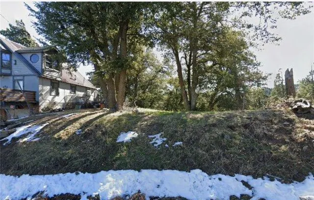 a view of street with large trees