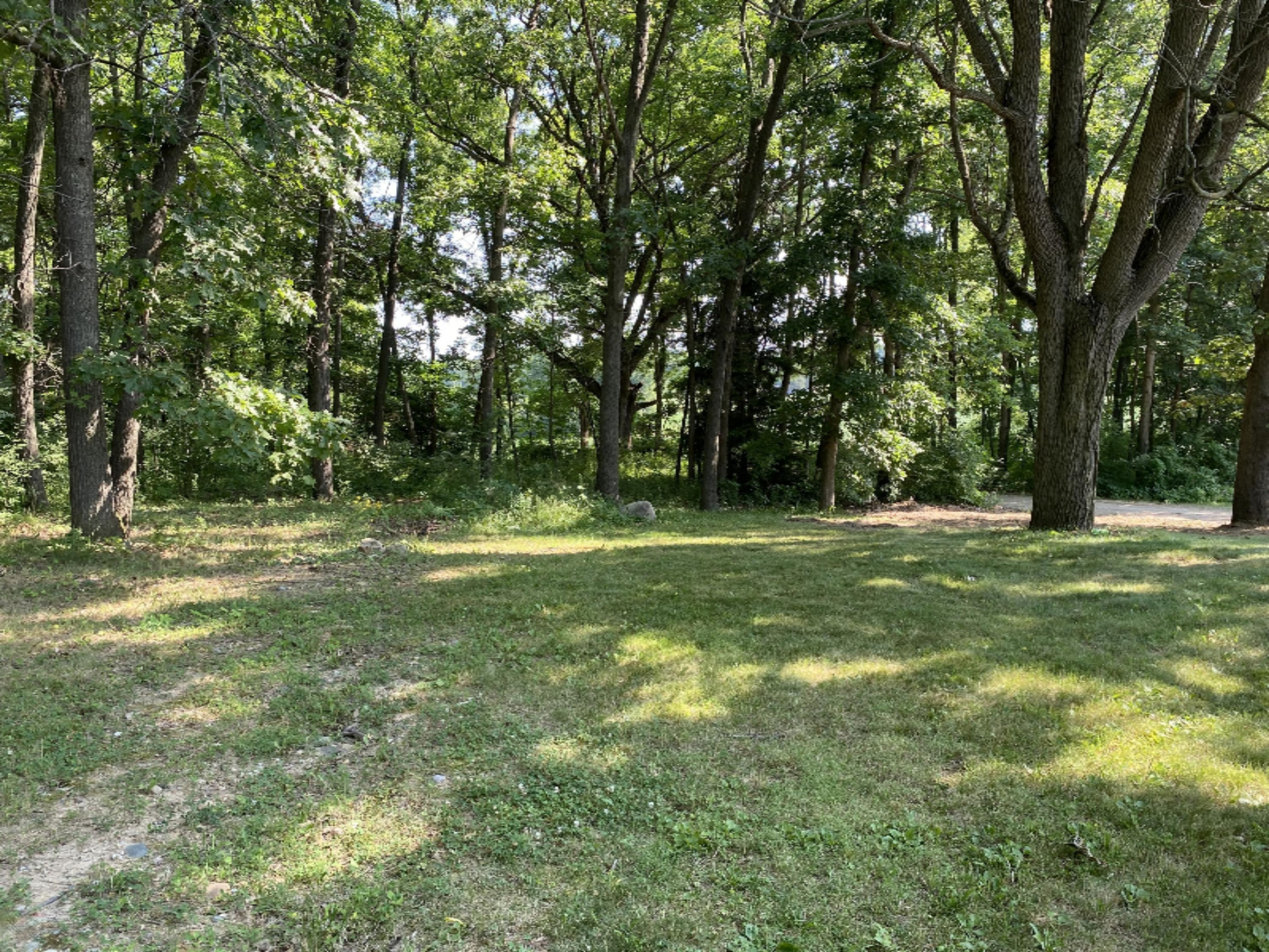 11375 Sutfin Road Jerome, MI 49249 - Photo 25 of 33 IMG_8145