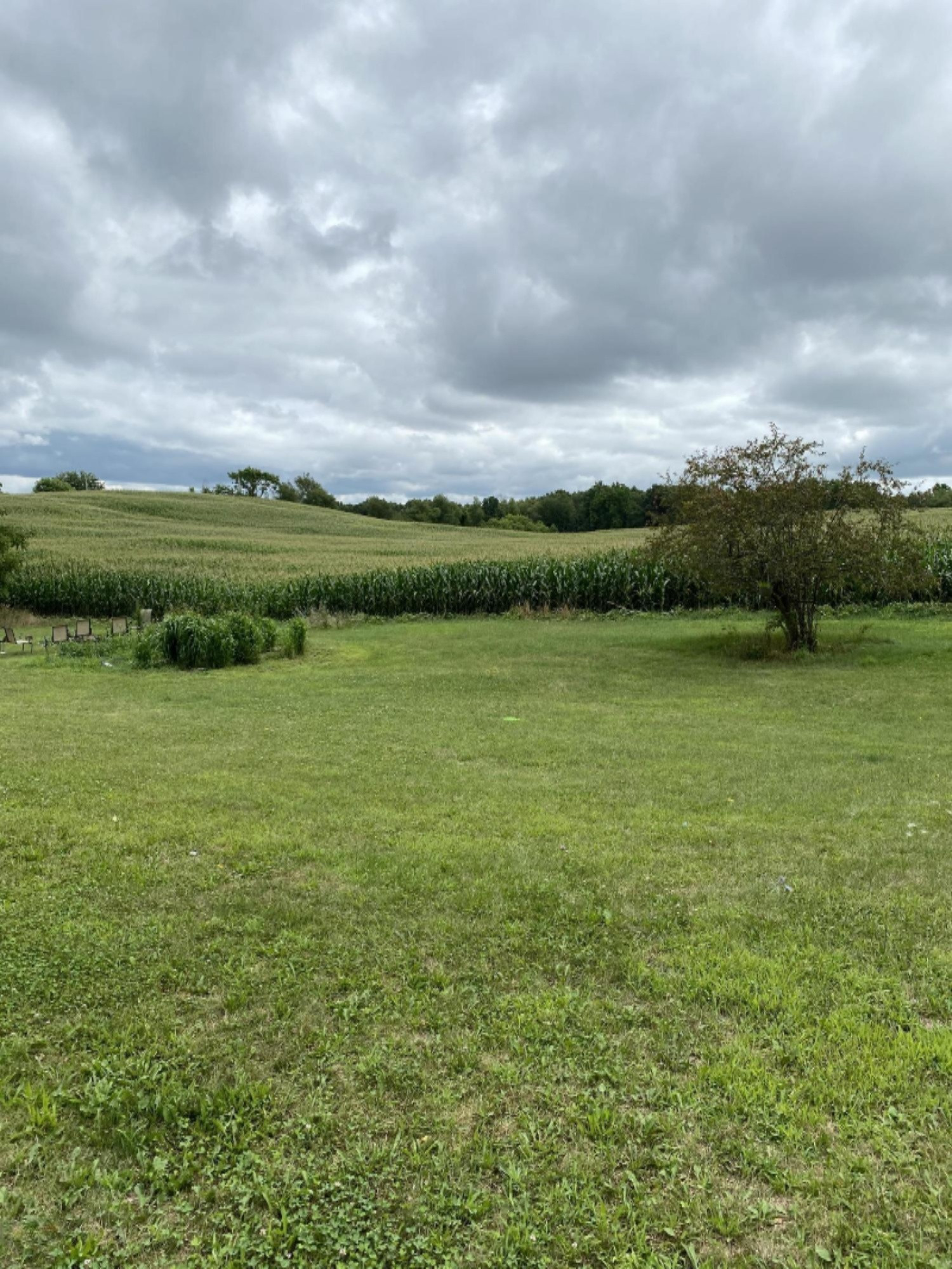 11375 Sutfin Road Jerome, MI 49249 - Photo 29 of 33 IMG_8750