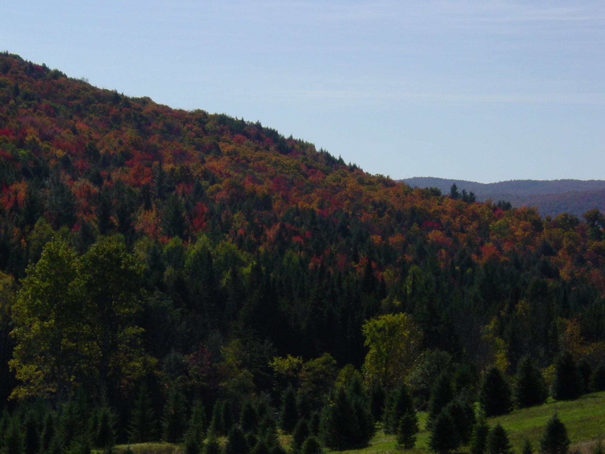 1586 Bent Hill Road Braintree, VT 05060 - Photo 17 of 18