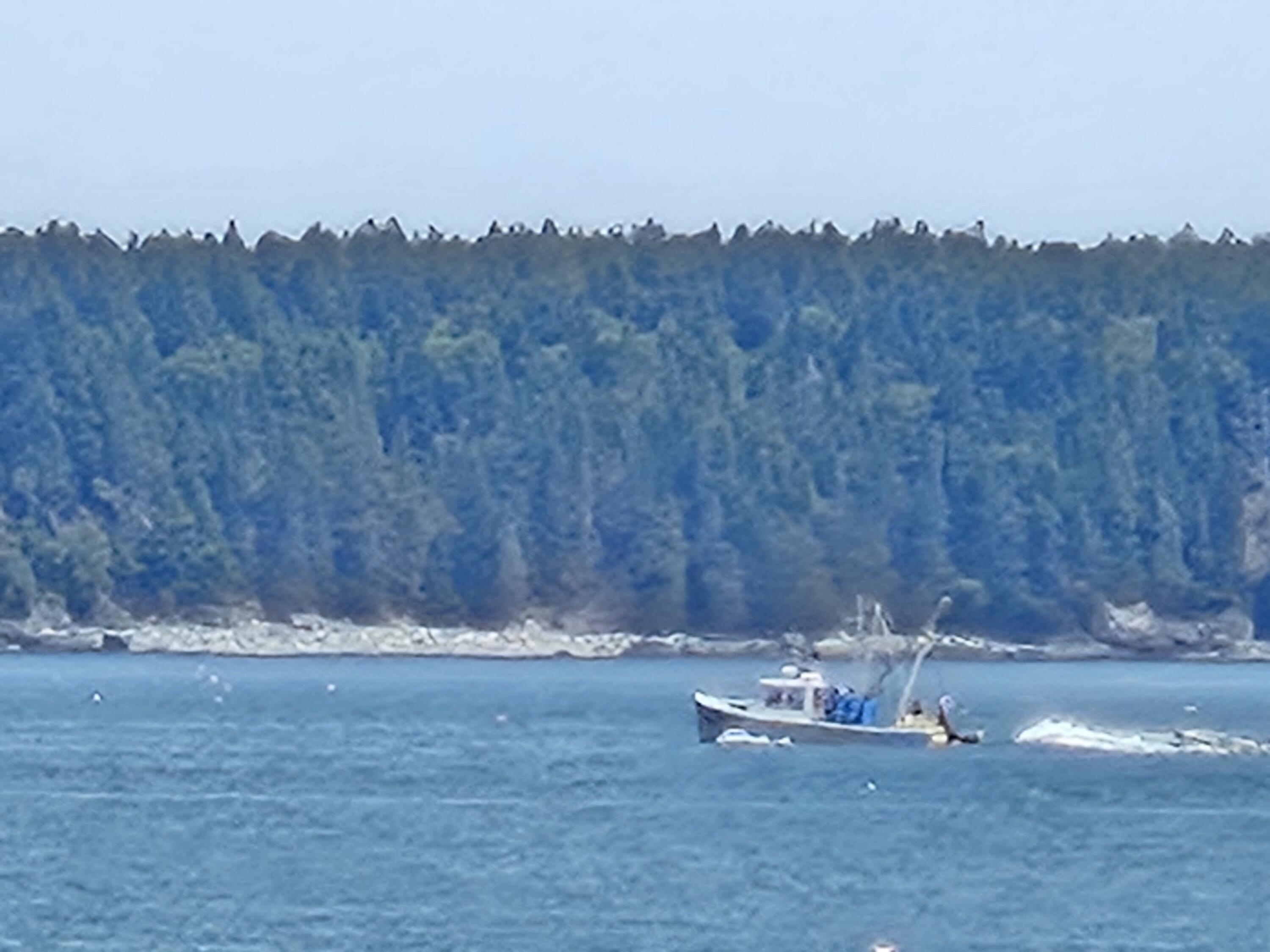 541 Mason Bay Road Jonesport, ME 04649 - Photo 91 of 92