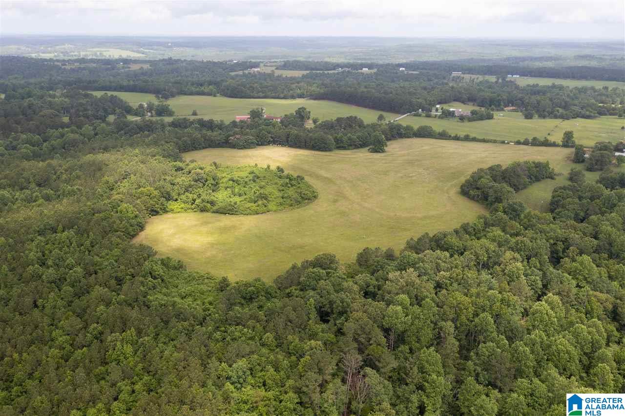 0 County Road 368 Verbena, AL 36091 - Photo 12 of 13