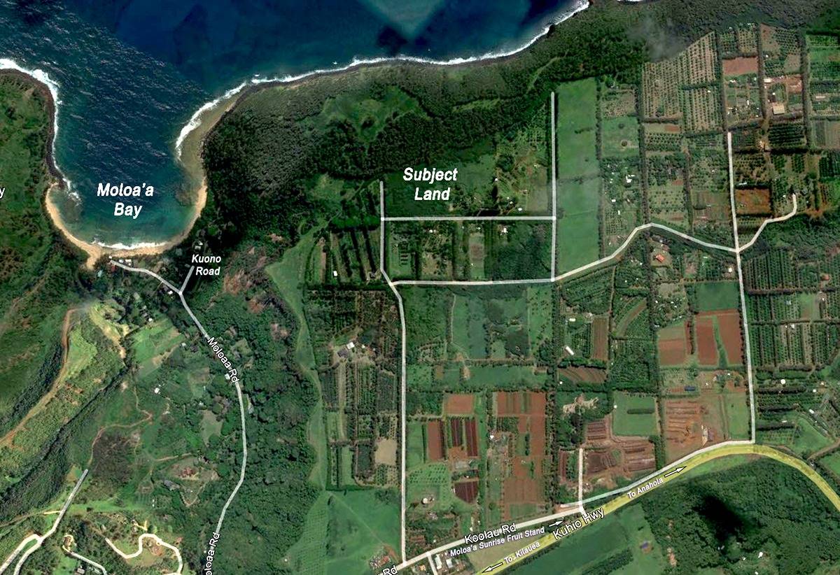 Moloaa Kilauea, HI 96754 - Photo 2 of 3 a close up of a garden