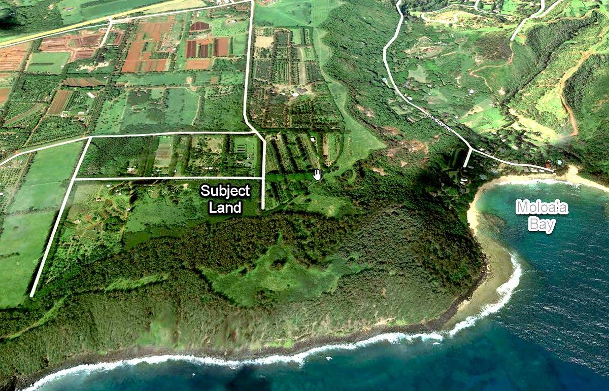 Moloaa Kilauea, HI 96754 - Photo 3 of 3 a view of a tennis court