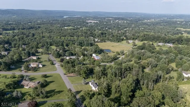 an aerial view of residential house and green space