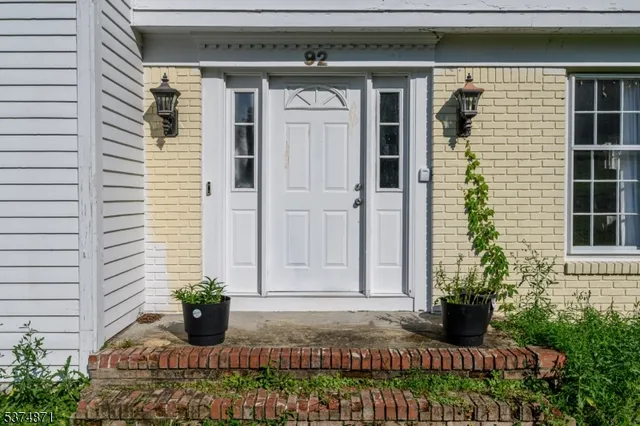a potted plant in front of a house