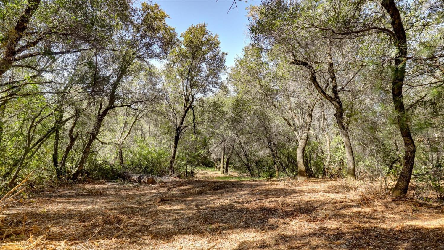 0 Southridge Road Penn Valley, CA 95946 - Photo 62 of 72