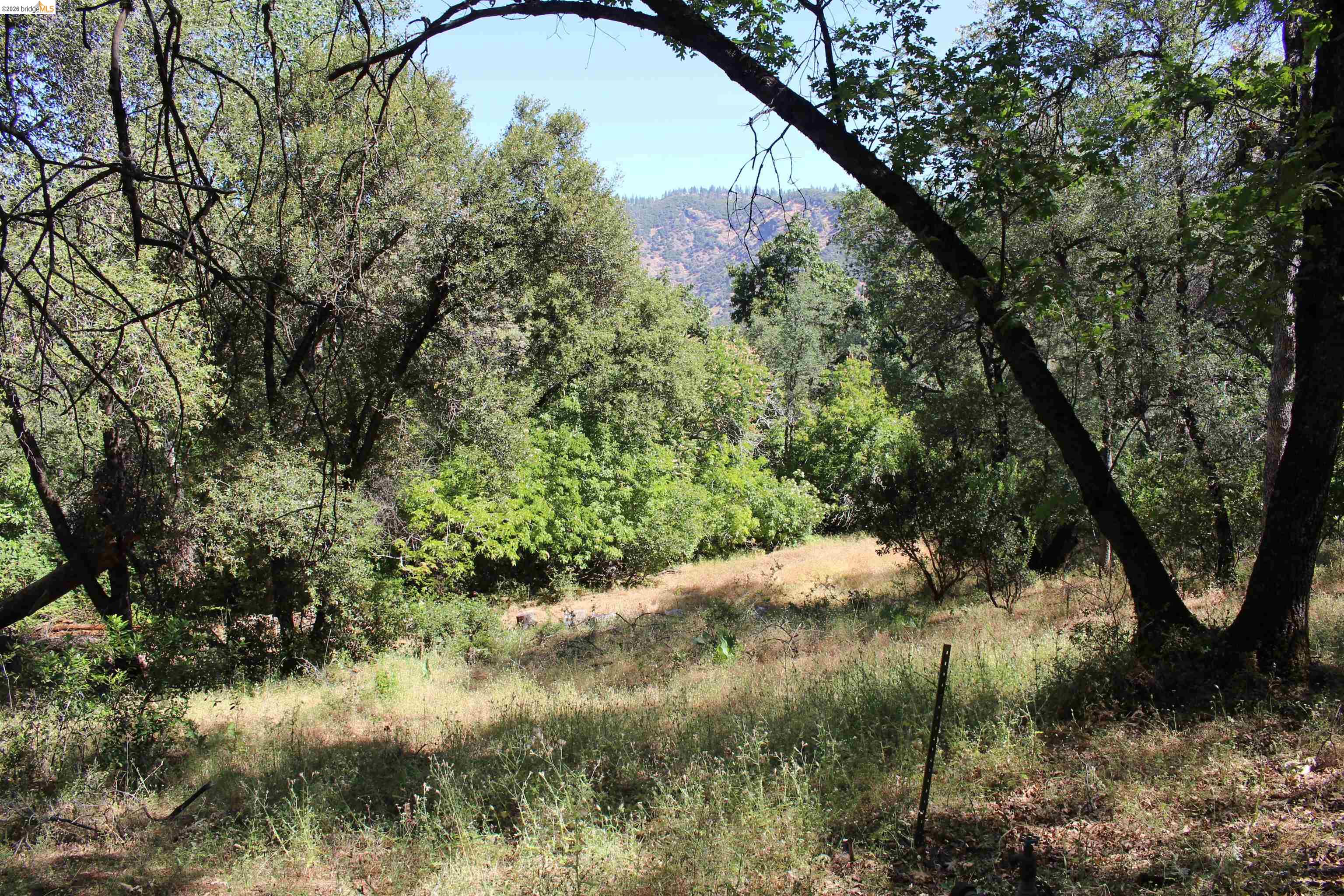 12000 Cattle Drive Trail Columbia, CA 95310 - Photo 6 of 24