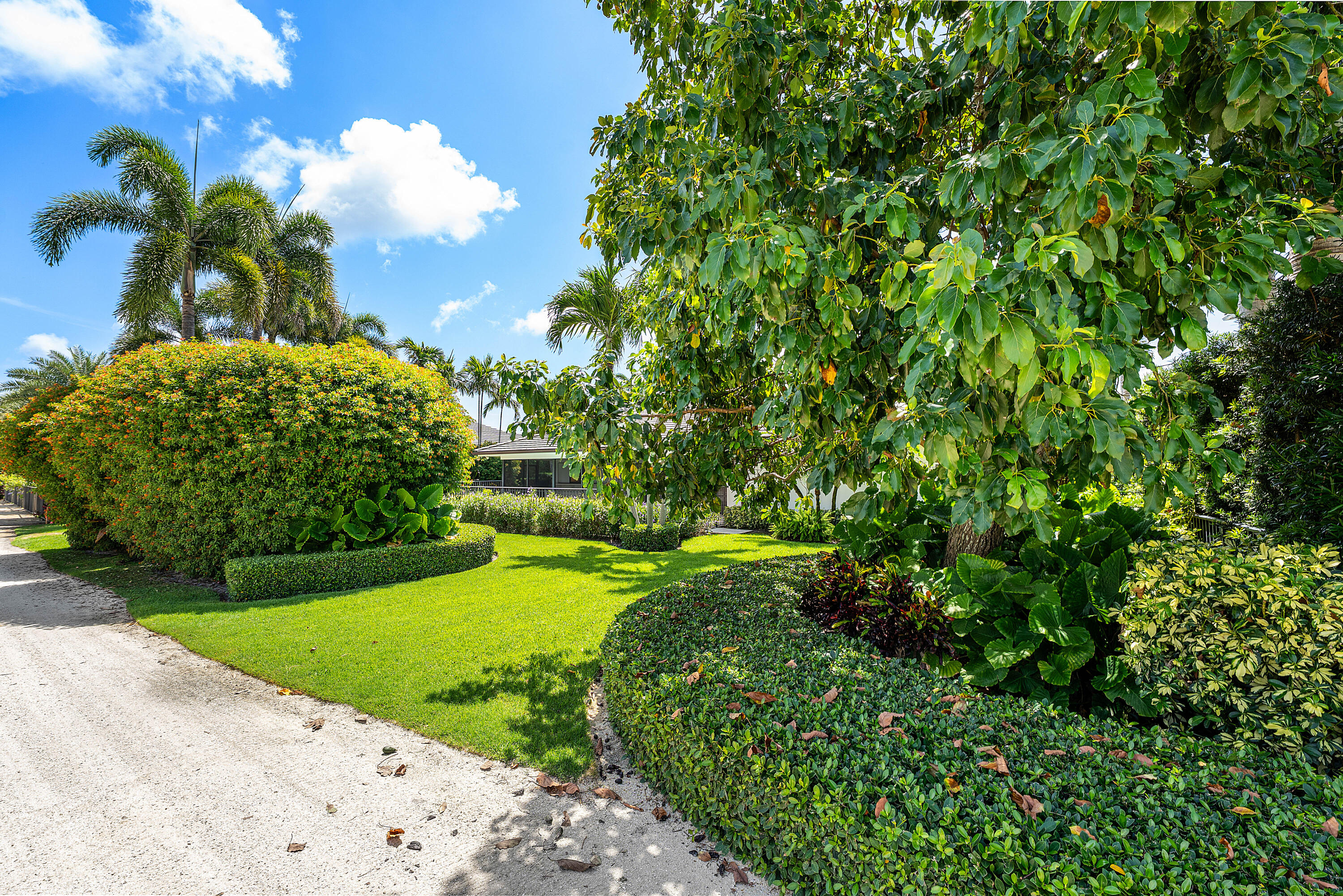 1851 Thatch Palm Drive Boca Raton, FL 33432 - Photo 56 of 70 a view of a garden with a flower garden