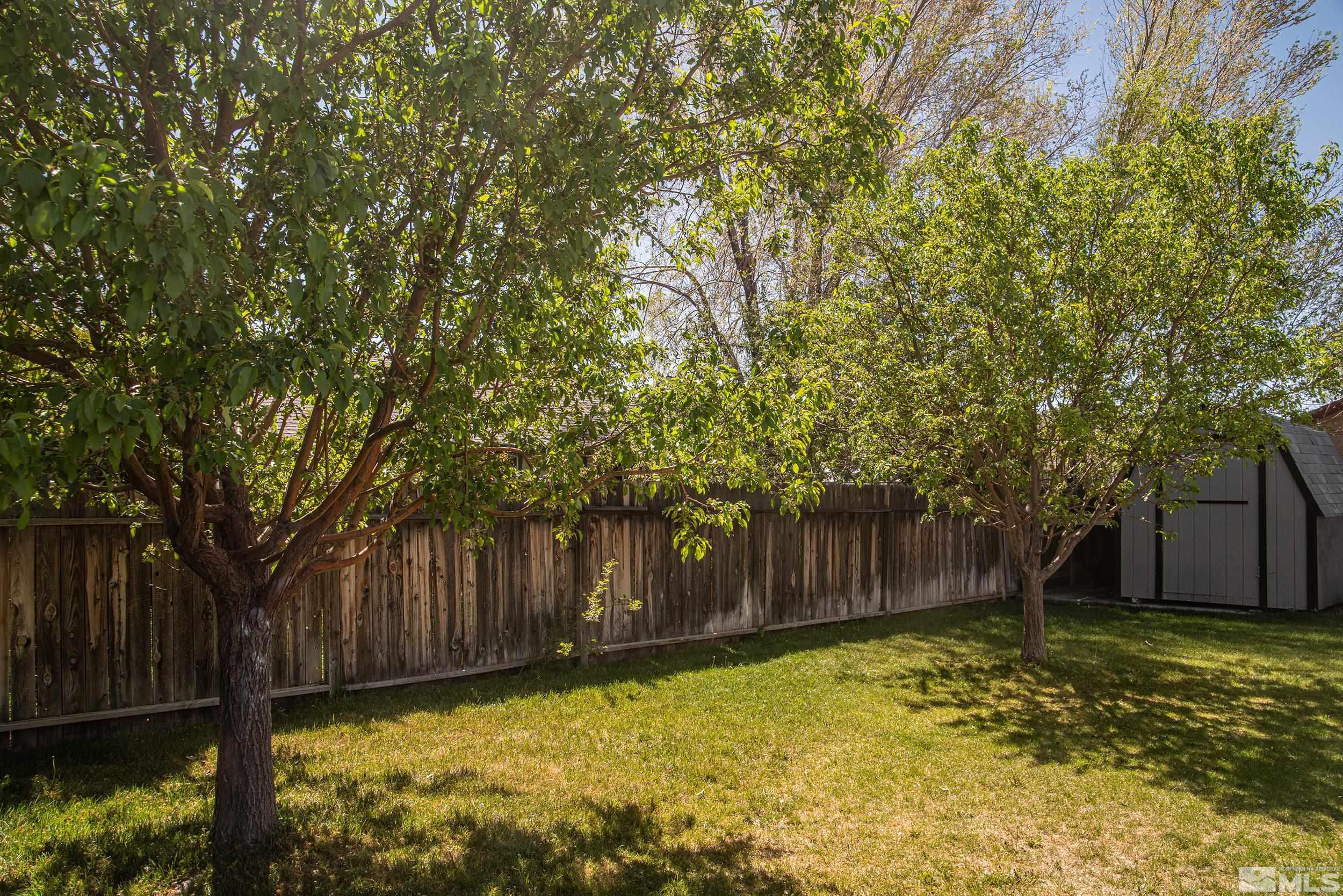 2525 Ridgecrest Drive Carson City, NV 89706 - Photo 17 of 21 a view of backyard with large trees and wooden fence