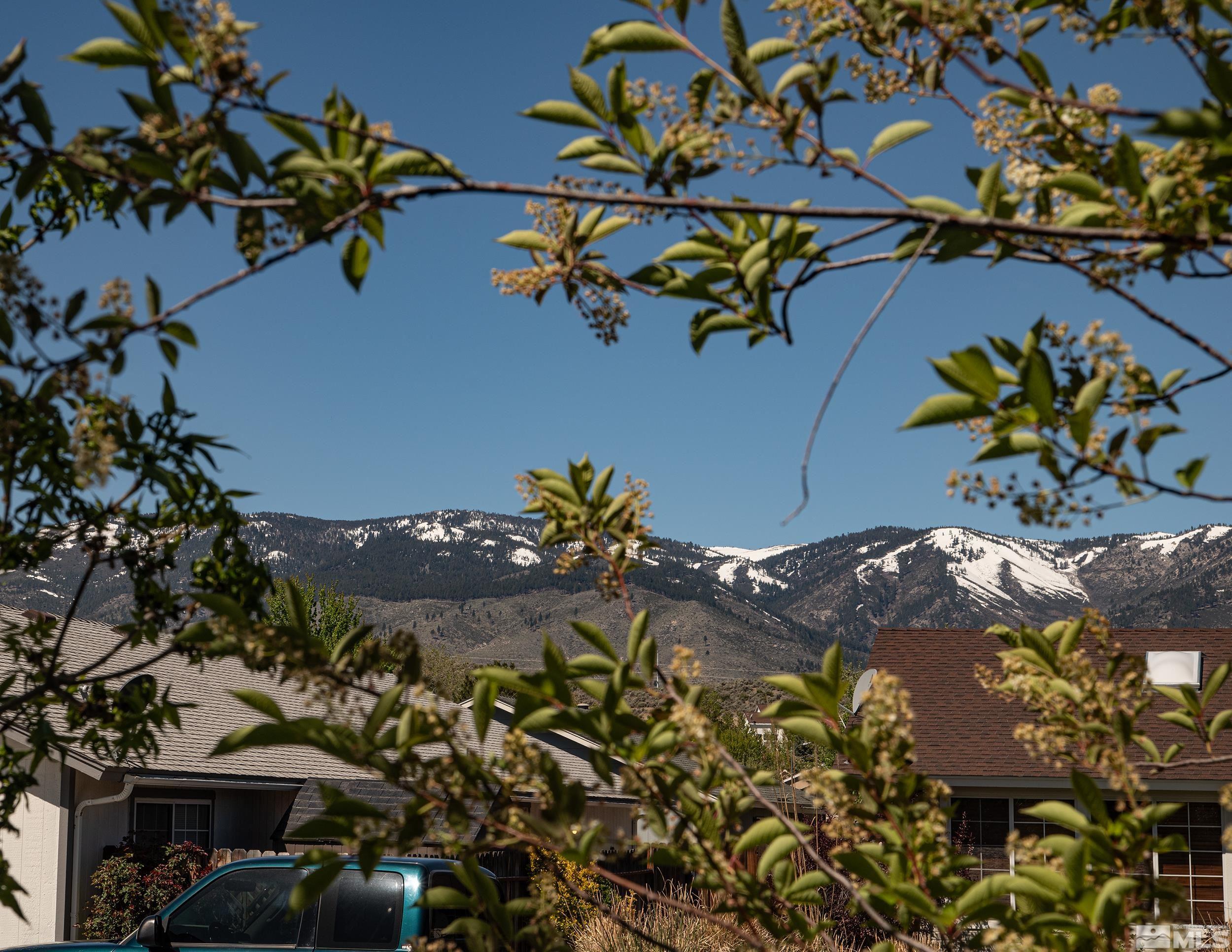 2525 Ridgecrest Drive Carson City, NV 89706 - Photo 4 of 21 a view of a flower