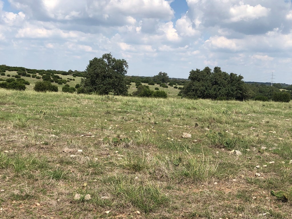 Lot 4 Zenner-Ahrens Road, Unit 4 Kerrville, TX 78028 - Photo 5 of 5