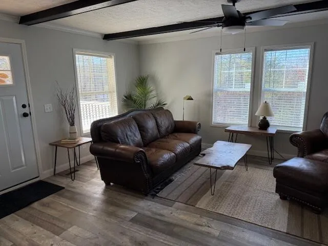 a living room with furniture and a window