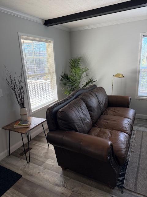 2475 Coles Creek Road Rocky Mount, VA 24151 - Photo 8 of 42 a living room with furniture and a window