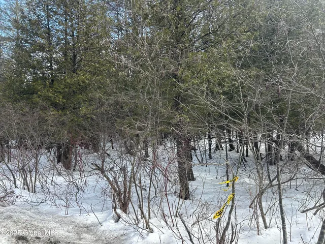 $125,000 | L24.000 Hogback Road, Crown Point, NY 12928