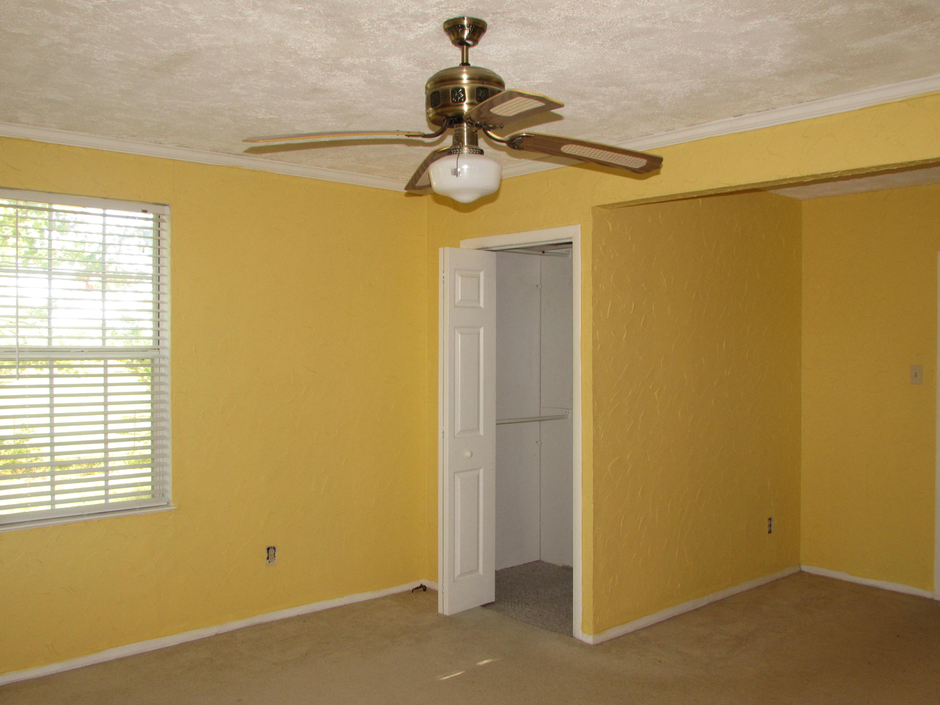 205 Junior Hall Road Road Sunbright, TN 37872 - Photo 19 of 33 bedroom